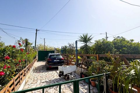 Villa i Quinta do Anjo, Setubal, Quinta do Anjo - € 499.000 | Ref: PN99145ES - foto 35