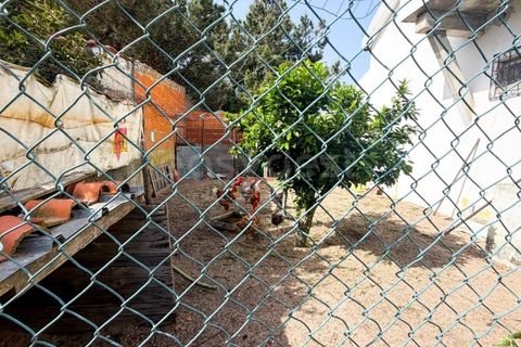 Villa i Quinta do Anjo, Setubal, Quinta do Anjo - € 499.000 | Ref: PN99145ES - foto 36