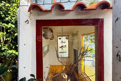 Villa i Quinta do Anjo, Setubal, Quinta do Anjo - € 499.000 | Ref: PN99145ES - foto 44