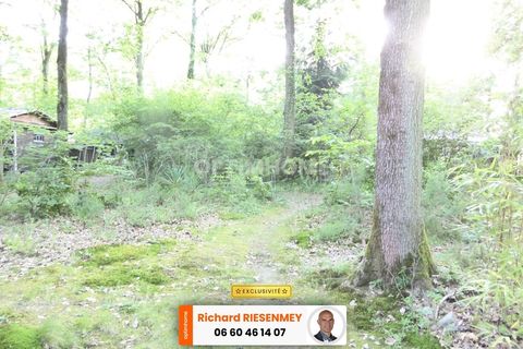 Villa i Saint-Cheron, Essonne, Saint-Cheron - € 19.000 | Ref: 830033241011 - foto 24