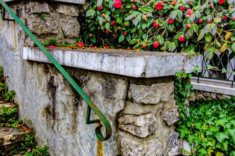 Villa i Orthez, Pyrenees-Atlantiques, Orthez - € 334.000 | Ref: 830034564570 - foto 42