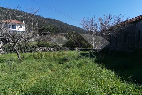 Helårsgrund i Viana do Castelo, Viana do Castelo, Viana do Castelo - € 400.000 | Ref: C0236/00222-3 - foto 1