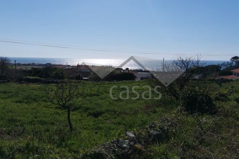 Helårsgrund i Viana do Castelo, Viana do Castelo, Viana do Castelo - € 400.000 | Ref: C0236/00222-3 - foto 4