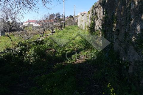 Helårsgrund i Viana do Castelo, Viana do Castelo, Viana do Castelo - € 400.000 | Ref: C0236/00222-3 - foto 7