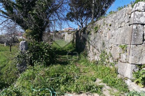 Helårsgrund i Viana do Castelo, Viana do Castelo, Viana do Castelo - € 400.000 | Ref: C0236/00222-3 - foto 8