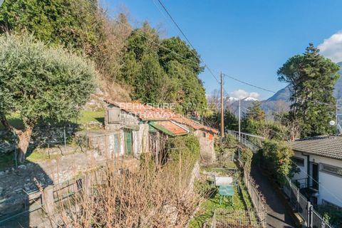 Villa i Cernobbio, Como, Cernobbio - € 790.000 | Ref: ILO3386.1 - foto 48