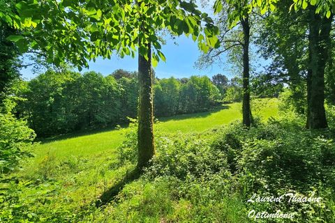 Villa em Thenon, Dordogne, Thenon - € 483.000 | Ref: 830038322375 - foto 24
