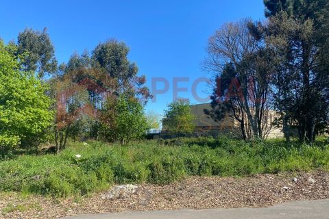 Terra a Argoncilhe, Aveiro, Argoncilhe - € 499.000 | Ref: TER_1122 - foto 2