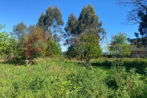 Terra a Argoncilhe, Aveiro, Argoncilhe - € 499.000 | Ref: TER_1122 - foto 3