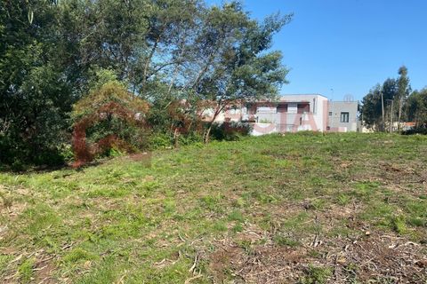 Helårsgrund i Pedroso, Porto, Pedroso - € 65.000 | Ref: TER_1121 - foto 2