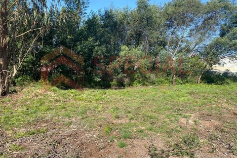 Helårsgrund i Pedroso, Porto, Pedroso - € 65.000 | Ref: TER_1121 - foto 3