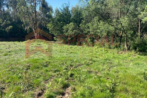 Helårsgrund i Pedroso, Porto, Pedroso - € 65.000 | Ref: TER_1121 - foto 6