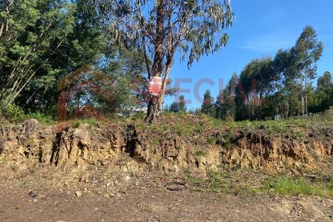 Helårsgrund i Pedroso, Porto, Pedroso - € 65.000 | Ref: TER_1121 - foto 7