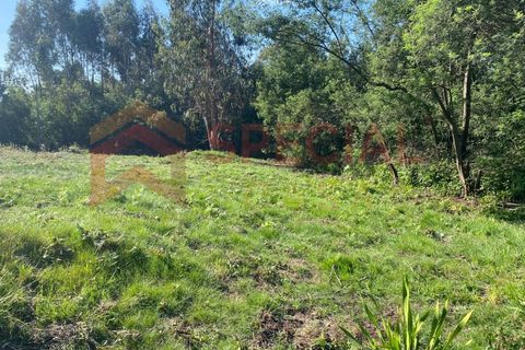 Helårsgrund i Pedroso, Porto, Pedroso - € 65.000 | Ref: TER_1121 - foto 8