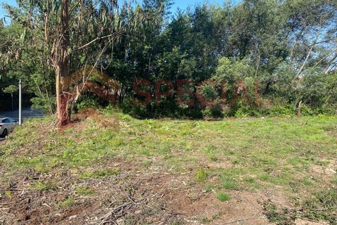 Helårsgrund i Pedroso, Porto, Pedroso - € 65.000 | Ref: TER_1121 - foto 9