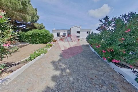 Byhus i Torres Vedras, Lisbon, Torres Vedras - € 525.000 | Ref: NL2963 - foto 6