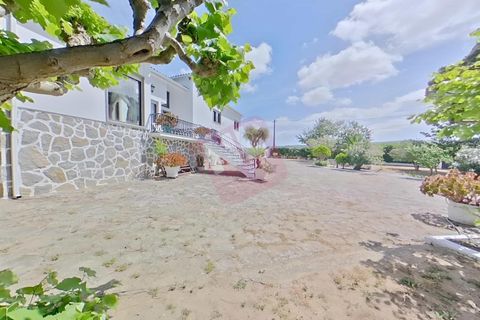Byhus i Torres Vedras, Lisbon, Torres Vedras - € 525.000 | Ref: NL2963 - foto 10
