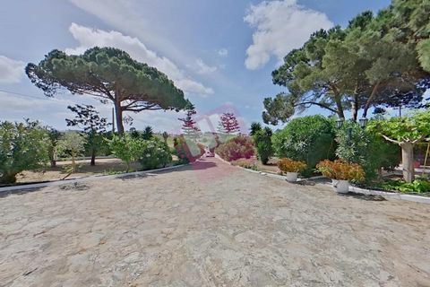Byhus i Torres Vedras, Lisbon, Torres Vedras - € 525.000 | Ref: NL2963 - foto 18