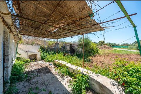 Landejendom i Manacor, Mallorca, Manacor - € 130.000 | Ref: 05AHLC068/3010 - foto 2