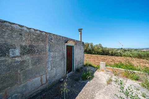 Landejendom i Manacor, Mallorca, Manacor - € 130.000 | Ref: 05AHLC068/3010 - foto 3