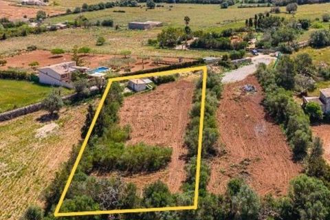 Landejendom i Manacor, Mallorca, Manacor - € 130.000 | Ref: 05AHLC068/3010 - foto 8