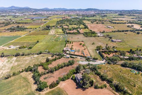 Landejendom i Manacor, Mallorca, Manacor - € 130.000 | Ref: 05AHLC068/3010 - foto 10