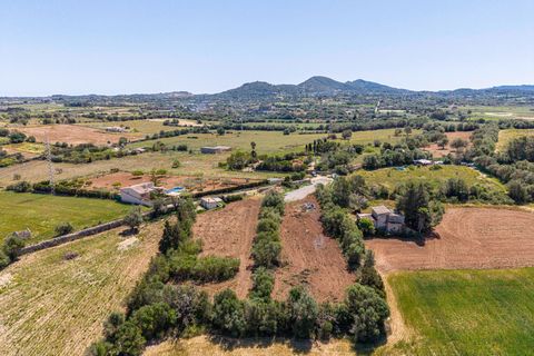 Landejendom i Manacor, Mallorca, Manacor - € 130.000 | Ref: 05AHLC068/3010 - foto 11