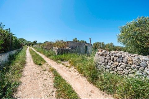 Landejendom i Manacor, Mallorca, Manacor - € 130.000 | Ref: 05AHLC068/3010 - foto 13