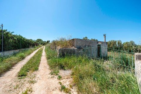 Landejendom i Manacor, Mallorca, Manacor - € 130.000 | Ref: 05AHLC068/3010 - foto 14