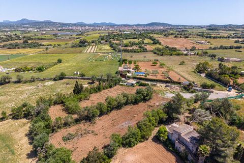 Landejendom i Manacor, Mallorca, Manacor - € 130.000 | Ref: 05AHLC068/3010 - foto 15