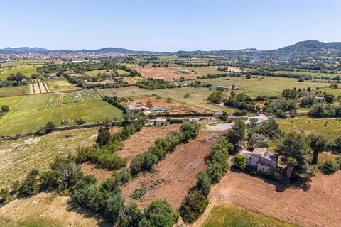 Landejendom i Manacor, Mallorca, Manacor - € 130.000 | Ref: 05AHLC068/3010 - foto 17