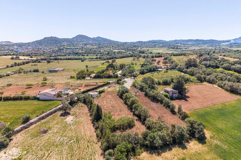 Landejendom i Manacor, Mallorca, Manacor - € 130.000 | Ref: 05AHLC068/3010 - foto 18