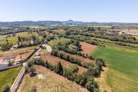 Landejendom i Manacor, Mallorca, Manacor - € 130.000 | Ref: 05AHLC068/3010 - foto 19