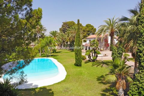 Farm i Novelda, Alicante, Novelda - € 6.000.000 | Ref: Nov EstEqx-D - foto 2