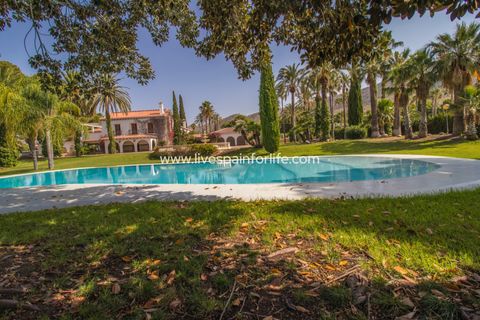 Farm i Novelda, Alicante, Novelda - € 6.000.000 | Ref: Nov EstEqx-D - foto 4