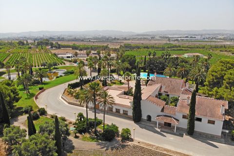 Farm i Novelda, Alicante, Novelda - € 6.000.000 | Ref: Nov EstEqx-D - foto 5