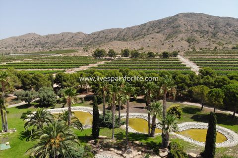 Farm i Novelda, Alicante, Novelda - € 6.000.000 | Ref: Nov EstEqx-D - foto 8