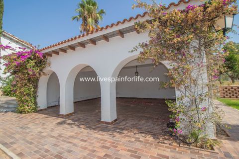 Farm i Novelda, Alicante, Novelda - € 6.000.000 | Ref: Nov EstEqx-D - foto 34