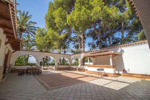 Farm i Novelda, Alicante, Novelda - € 6.000.000 | Ref: Nov EstEqx-D - foto 36