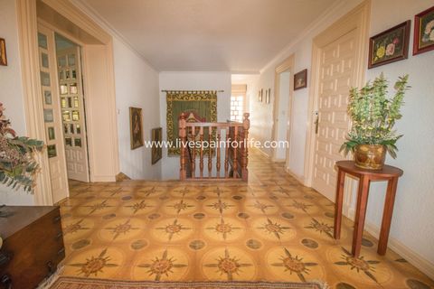 Farm i Novelda, Alicante, Novelda - € 6.000.000 | Ref: Nov EstEqx-D - foto 41