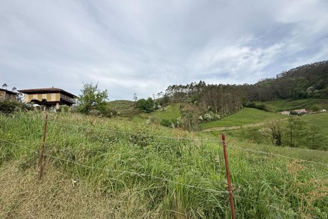 Villa i Llanera, Lerida, Llanera - € 160.000 | Ref: 14120-NTL/2912 - foto 4