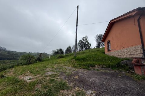 Villa i Llanera, Lerida, Llanera - € 160.000 | Ref: 14120-NTL/2912 - foto 10