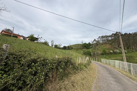 Villa i Llanera, Lerida, Llanera - € 160.000 | Ref: 14120-NTL/2912 - foto 16
