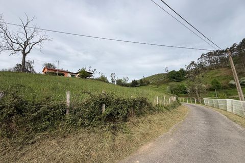 Villa i Llanera, Lerida, Llanera - € 160.000 | Ref: 14120-NTL/2912 - foto 17