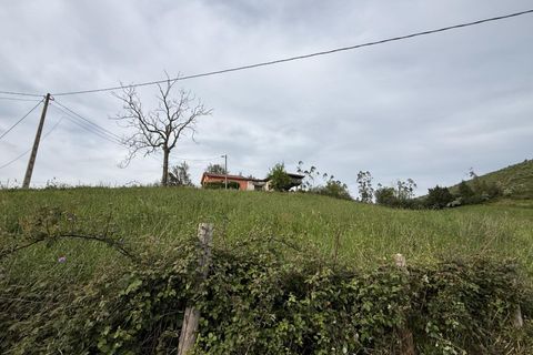 Villa i Llanera, Lerida, Llanera - € 160.000 | Ref: 14120-NTL/2912 - foto 18
