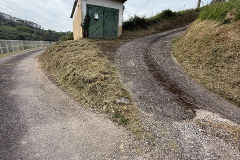 Villa i Llanera, Lerida, Llanera - € 160.000 | Ref: 14120-NTL/2912 - foto 19