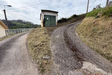 Villa i Llanera, Lerida, Llanera - € 160.000 | Ref: 14120-NTL/2912 - foto 20