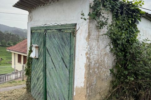 Villa i Llanera, Lerida, Llanera - € 160.000 | Ref: 14120-NTL/2912 - foto 21