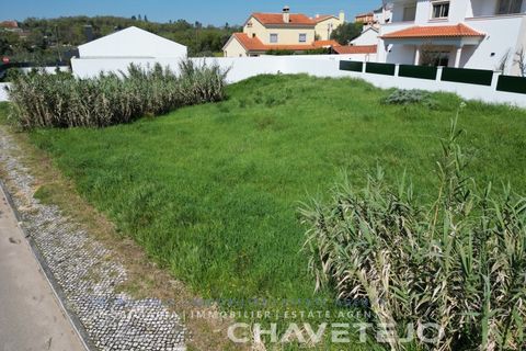 Helårsgrund i Tomar, Santarem, Tomar - € 100.000 | Ref: 604/26 - foto 9