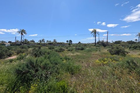 Helårsgrund i Elche, Alicante, Elche - € 70.000 | Ref: 33655/388 - foto 2